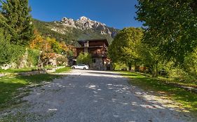 Chambres d'hôtes les Murès du Mercantour